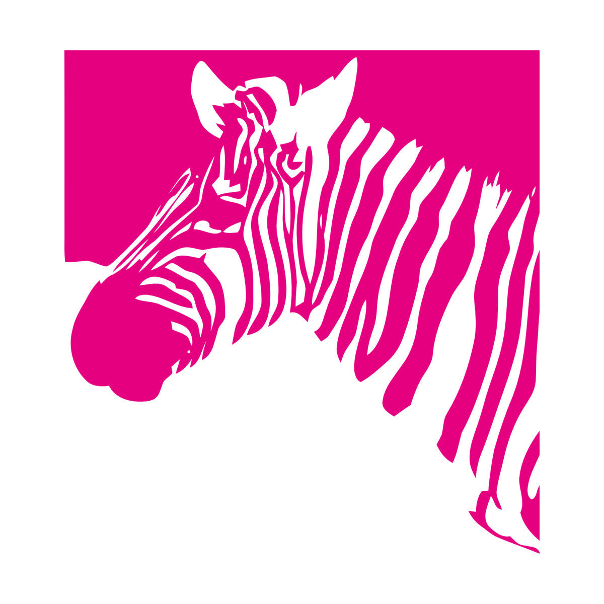 Mural And Wall Vinyl Decal Zebra Animal Modern Style Removable Without Leaving Glue