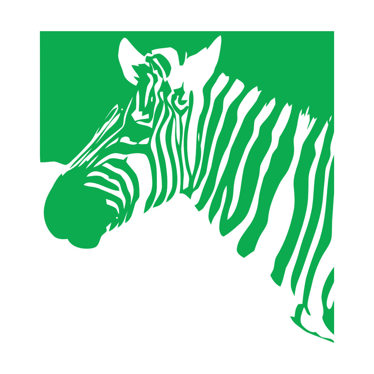 Mural And Wall Vinyl Decal Zebra Animal Modern Style Removable Without Leaving Glue